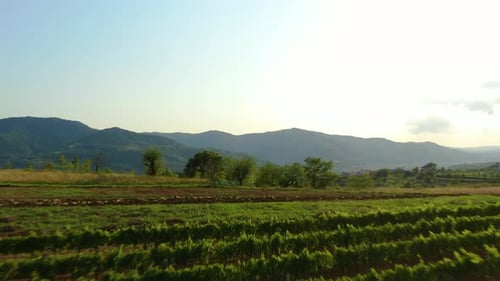 Lake Butoniga water reservoir dam in Croatia shown after flyover an orchard farm on a hill, Aerial d
