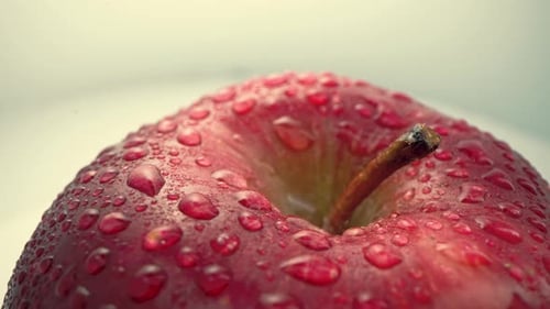 Close-up of Juicy Apple with Stem and Water Drops