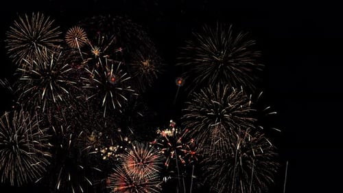 Vibrant Fireworks Exploding Loop for Celebrations