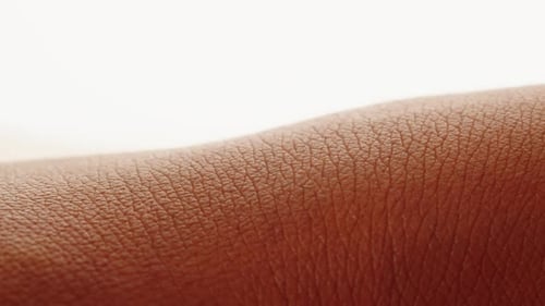 Extreme Close Up of Textured Skin