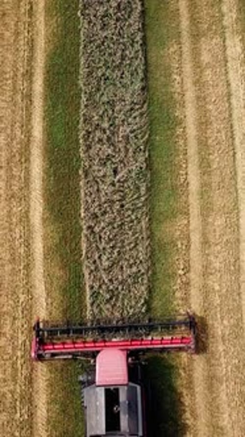 Aerial view of modern combine harvester in action. Wheat field at harvest time.