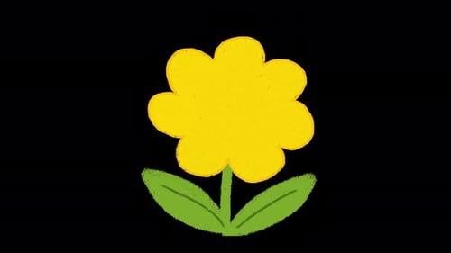 Hand Drawn Flower Animation | Cute Doodle Floral Element with Alpha Channel