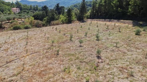 Paisaje seco de ladera con escasa vegetación en un clima soleado