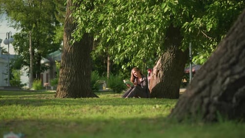 Woman Reading Under Tree in Sunlit Field with Gentle Breeze and Calm Surroundings