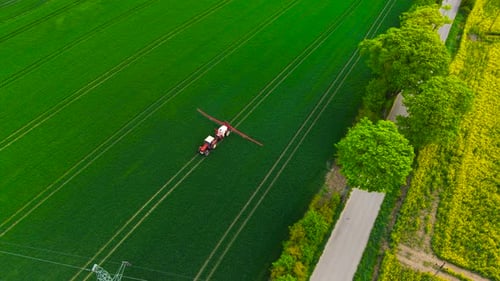 Tractor Crossing Green Field Spraying for Farming Efficiency Agricultural Equipment Working on Wheat