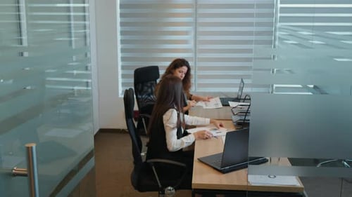 Two Women Working on Laptops in Bright Office