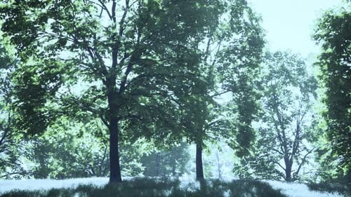 A Serene Landscape with Trees in a Lush Green Field