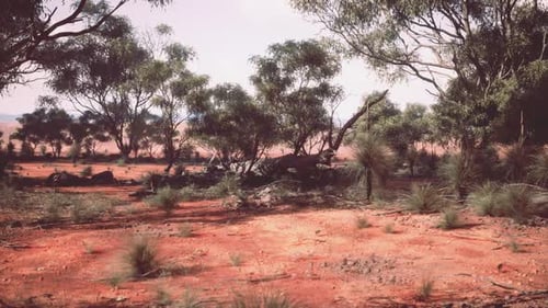 A Serene Natural Landscape with Trees and Bushes in a Rustic Field