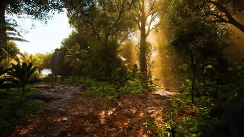Lush Tropical Forest Path with Sun Rays