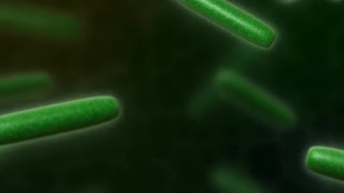 Glowing green bacteria cells moving in dark background