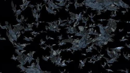 Dark Ominous Flock of Stylized Birds Flying 3D Animation