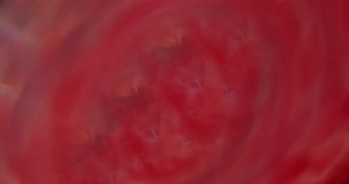 Abstract swirling red watercolor background in macro close up