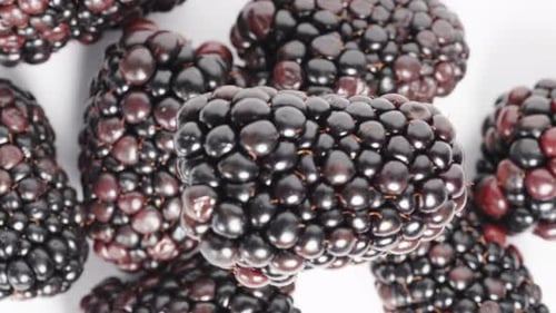 The view is from above on the blackberry, and the camera rises while shifting its focus