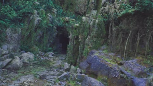Realistic 3D Animation of a Lush Cave Entrance