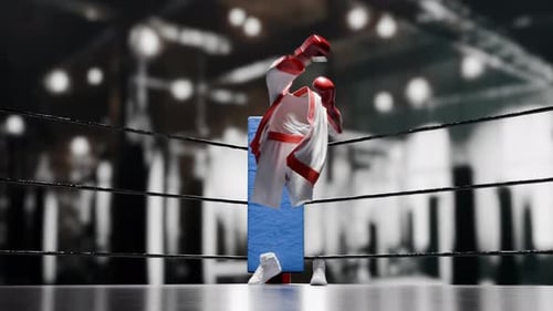 Dynamic Boxing Uniform and Gloves Wardrobe Presentation