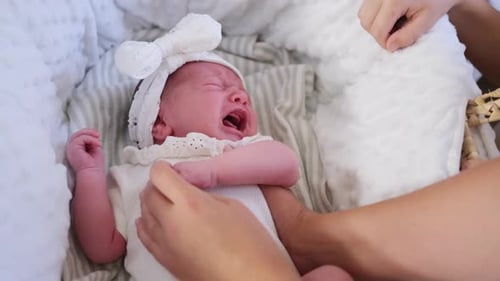 Crying Newborn Infant in Bassinet being Held