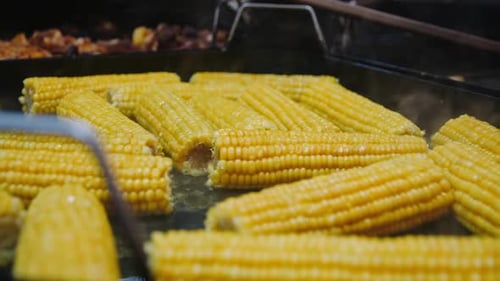 Closeup Bbq Corn Roasting on Metal Surface in . Tasty Corn