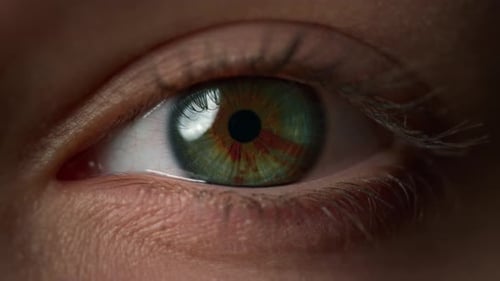 Macro shot of human eye opening fully