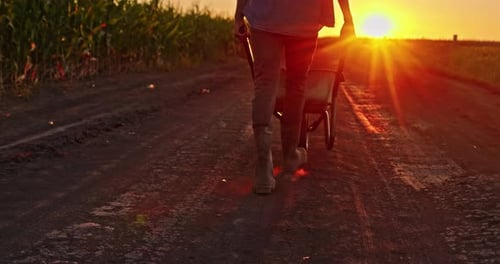Bauer läuft bei Sonnenuntergang eine Landstraße entlang und schiebt eine Schubkarre voller frischer Produkte hinterher
