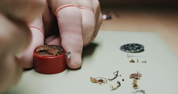 A watchmaker carefully removing parts of a watch for repairing and ...