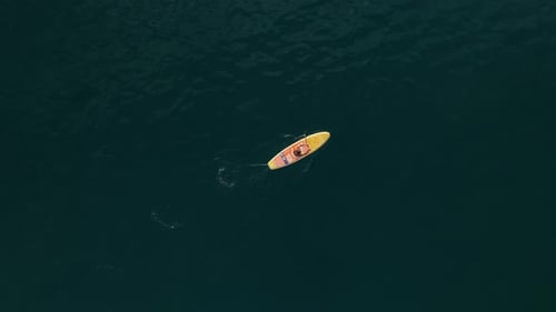 Sea Man Sup Top Down View on Athlete Man Swimming in Sea and Paddleboarding at Summer Sunset