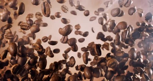 Des
grains de café parfumés planent dans le cadre. Grains de café filmés avec une caméra super ralenti à 1000 images par seconde.