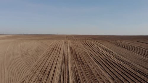 Green tractor planting sunflower on the sandy field in Ukraine 4K