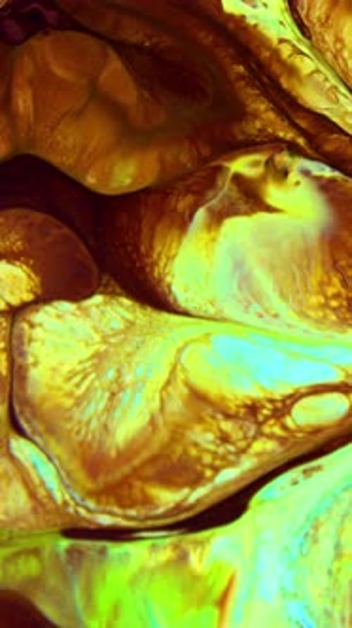 Abstract Colorful Swirls and Patterns Flowing Together