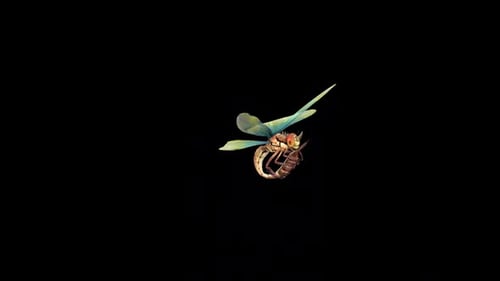 Realistic 3D Animated Dragonfly Flying Loop