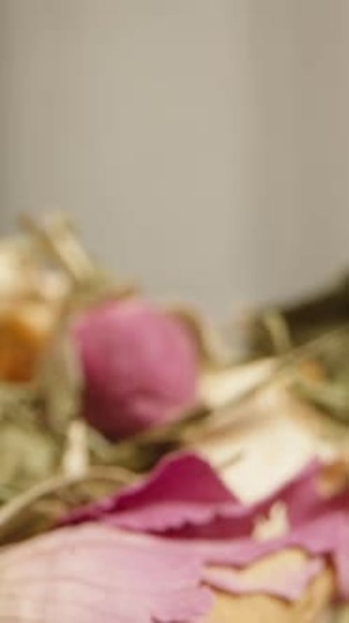 Close-Up of Pink Dried Rose Petals and Leaves