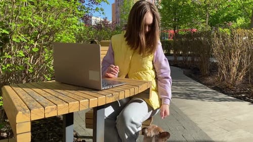 Woman Working on Laptop with Dog in Park