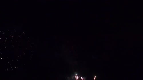 Vibrant Fireworks Bursting in the Night Sky