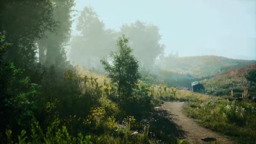 Serene Path Through Lush Greenery in a Misty Morning Landscape