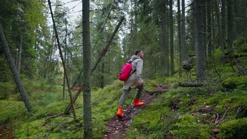 Athletic Man Walking In Woodland Backpacking In Beautiful Forest In Autumn Day Active Rest