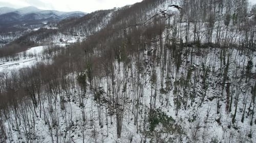 Verschneiter Wald aus der Luft
