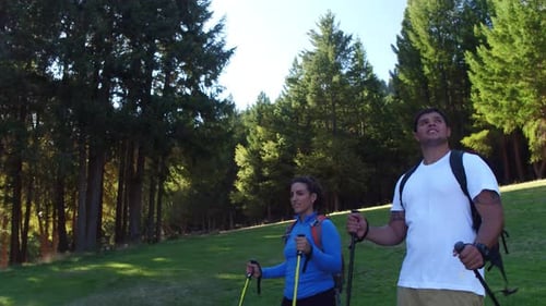 Couple with Hiking Poles in a Grassy Forest Glade