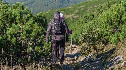 Hikers Ascend Rocky Mountain Trail