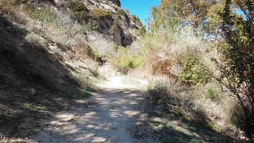 Mountain landscape