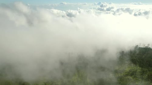 Flying Through the Clouds Above Mountain Tops Misty Fog Blowing Over Pine Trees
