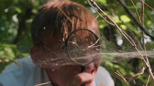 Étudiant en botanique en blouse blanche utilisant un microscope pour observer des toiles d'araignées