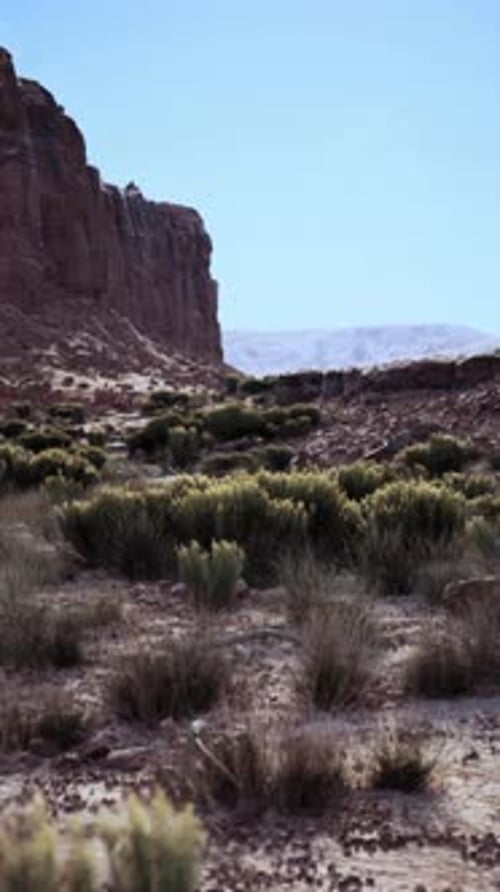 Arid Desert Landscape With Distant Mountain
