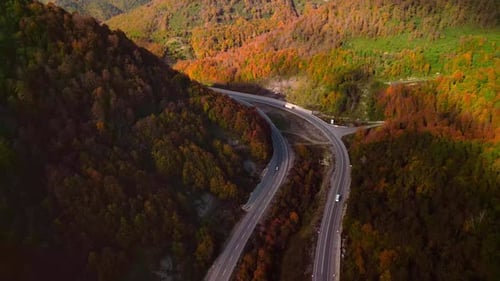 Route forestière d'automne - 4K