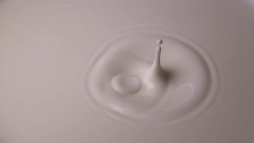 Drops of Milk Drip From Top to Center on a Hard Surface of Milk Closeup