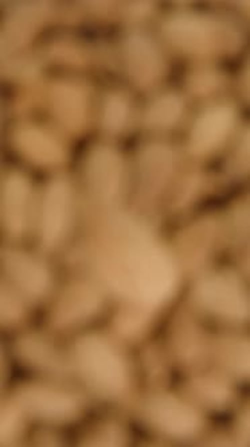 Vertical video. The Focus Slowly Narrows on the Rotating Almond Nut, a Top-Down View.