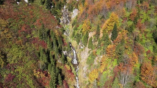 Cascada en el bosque otoñal