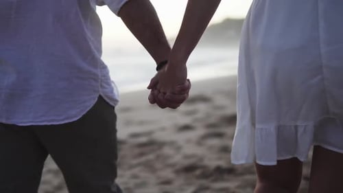 Slow motion dolly shot of a couple in love walking along the beach with their dog holding hands duri