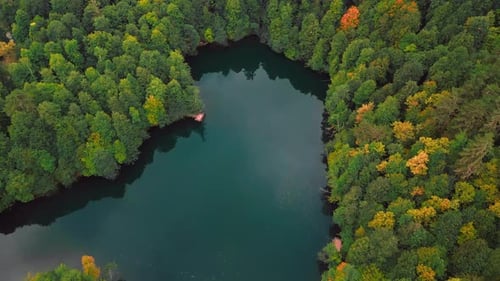 Autumn Forest and Lake - 2K