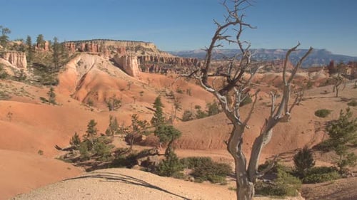 Vast Red Rock Vistas Featuring Dead Trees And Distant Mountains