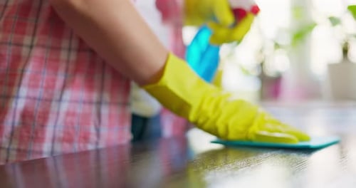 Adult Wipes Wood Table with Gloves and Cleaner