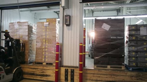 Russia, Novosibirsk - July 25, 2015: Loader Driver Of Transport Company Load Pallets With Boxes O...